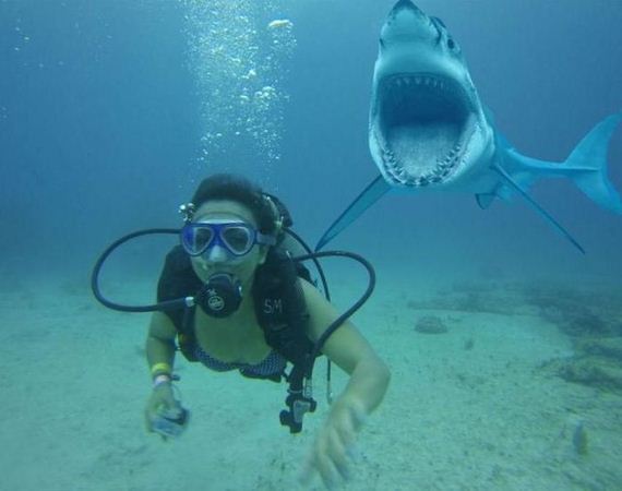funny-pictures-617