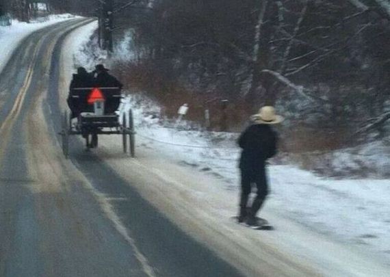 funny-pictures-617
