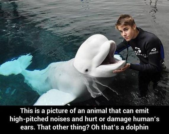 funny-pictures-617