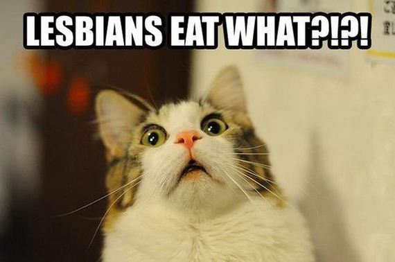 funny-pictures-617