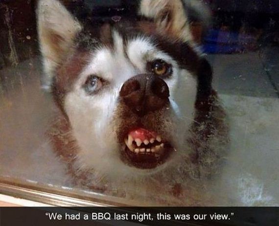 funny-pictures-617