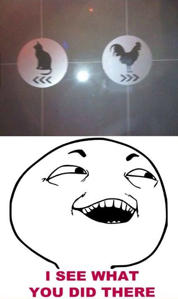funny-pictures-618