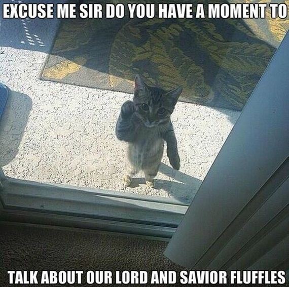 funny-pictures-618