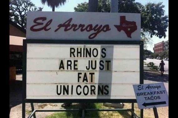 funny-pictures-618