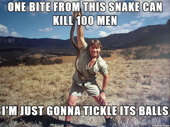 funny-pictures-620
