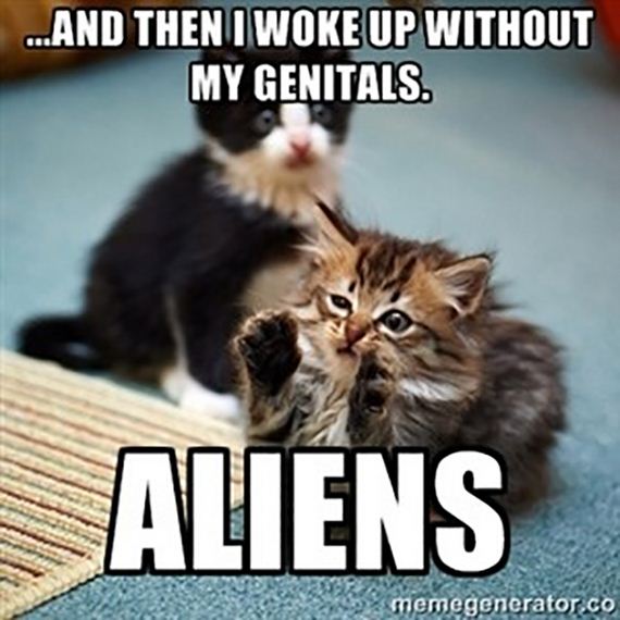 funny-pictures-620