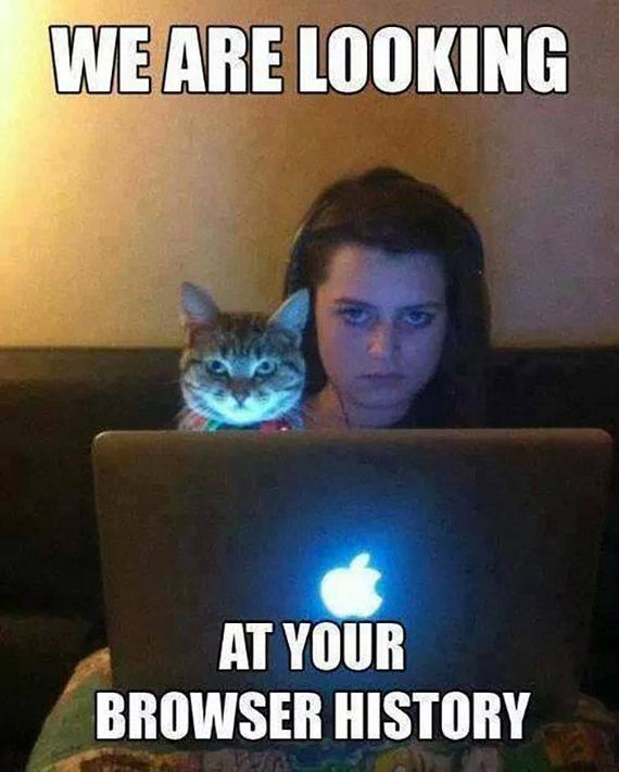 funny-pictures-620