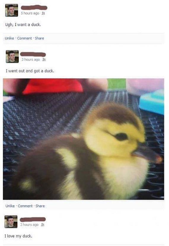 funny-pictures-620