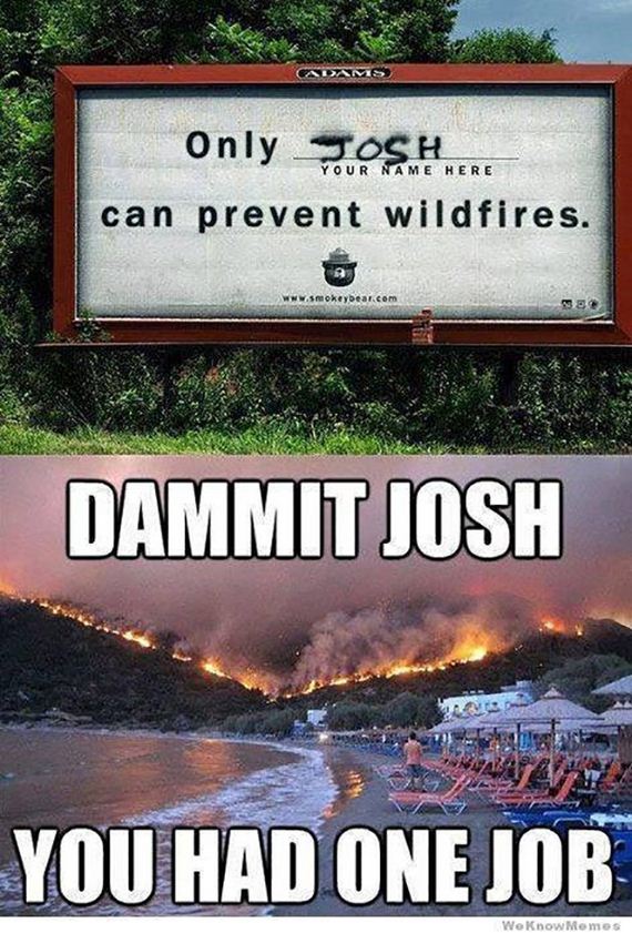 funny-pictures-620
