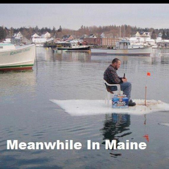 funny-pictures-620