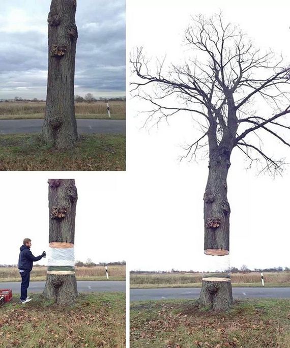 funny-pictures-620