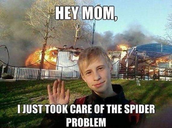 funny-pictures-622