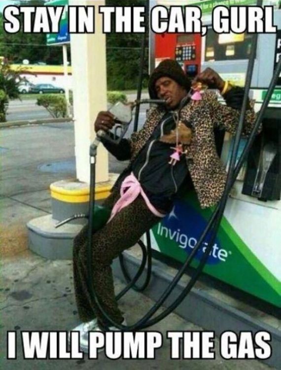 funny-pictures-622