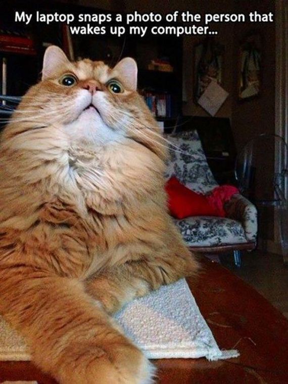 funny-pictures-622