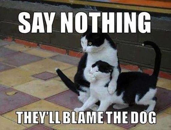 funny-pictures-622