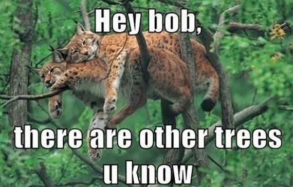 funny-pictures-622