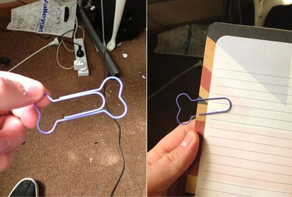 funny-pictures-622