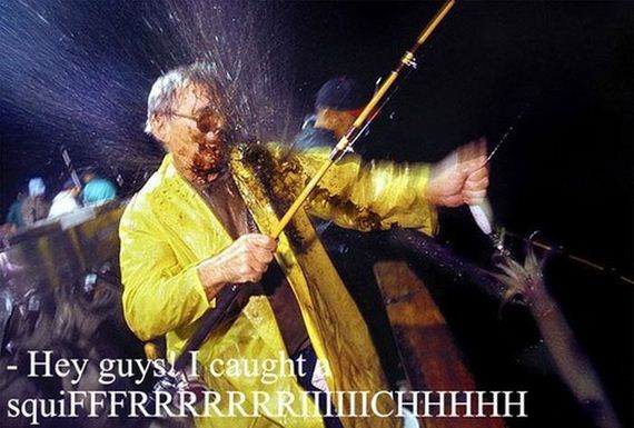 funny-pictures-623