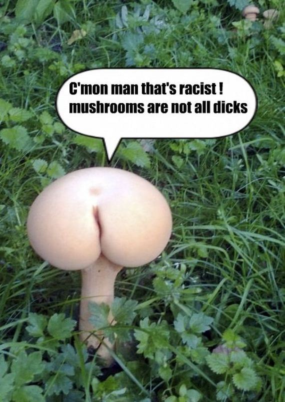 funny-pictures-623