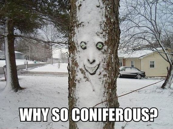 funny-pictures-623