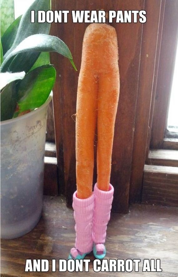 funny-pictures-623