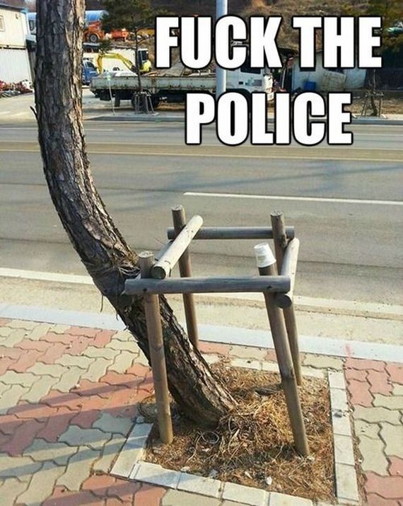 funny-pictures-623