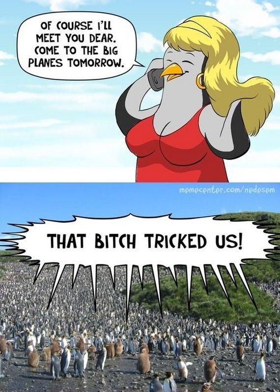 funny-pictures-623