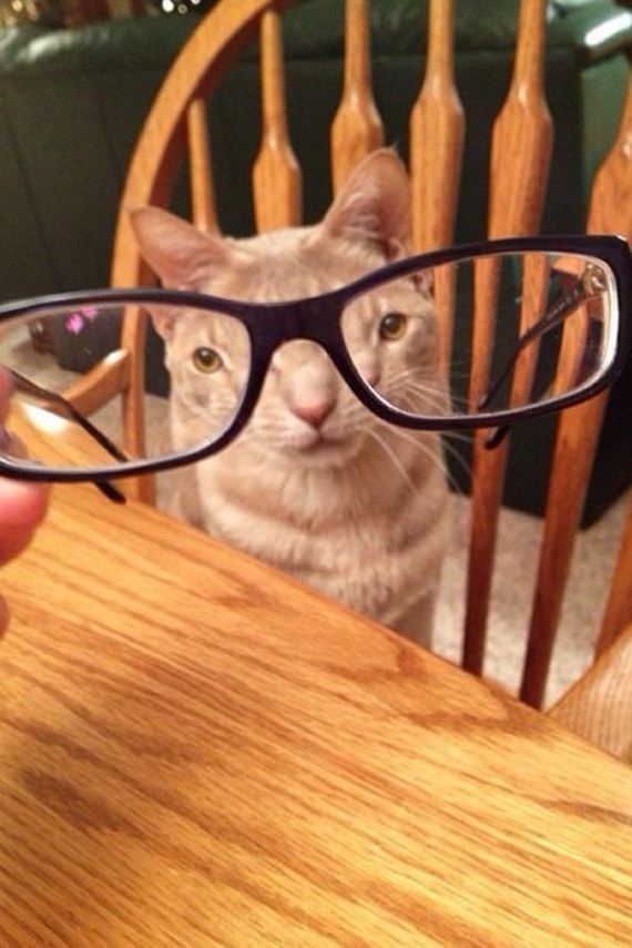 funny-pictures-623
