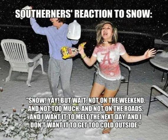 funny-pictures-627