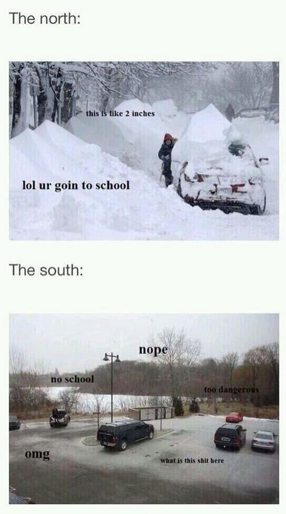 funny-pictures-627
