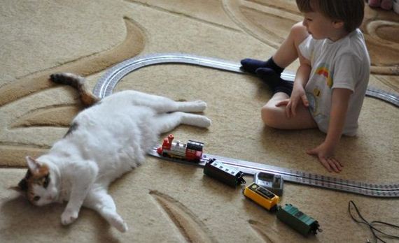 funny-pictures-627
