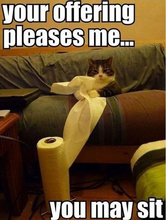 funny-pictures-627