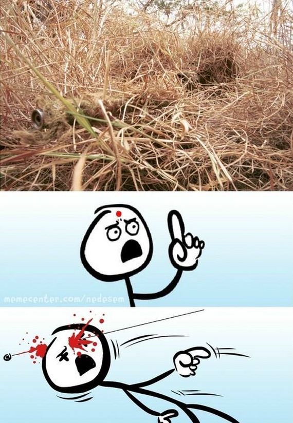 funny-pictures-627