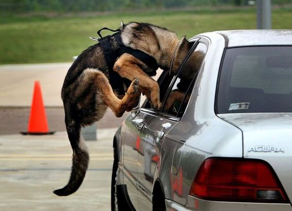 funny-pictures-628
