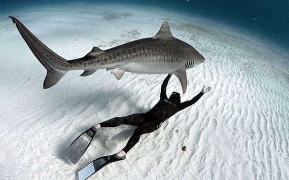 funny-pictures-628