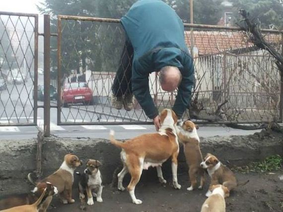 funny-pictures-628