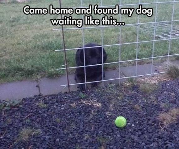 funny-pictures-628