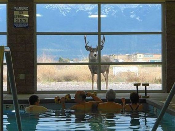funny-pictures-628