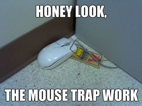 funny-pictures-628