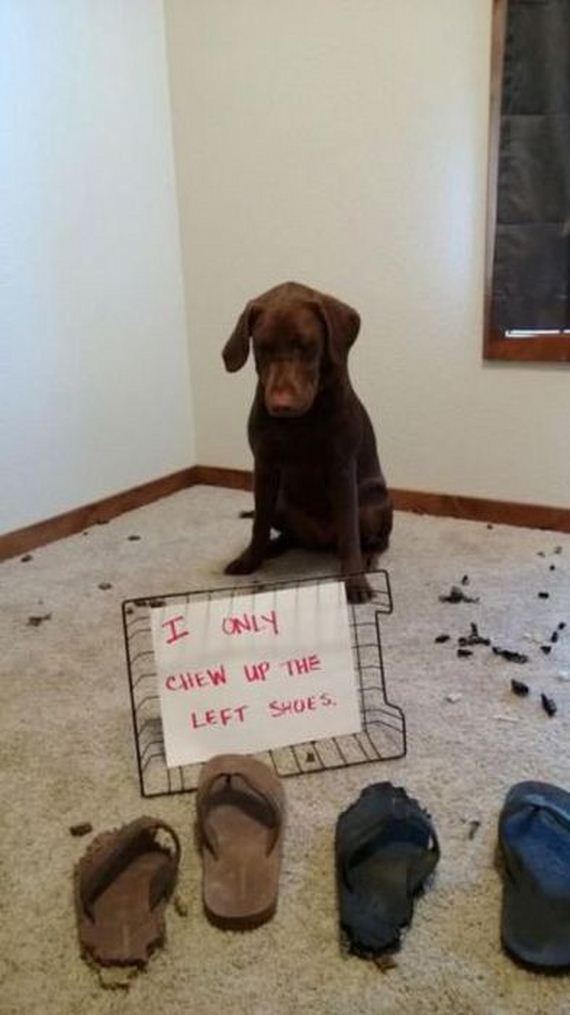 funny-pictures-628