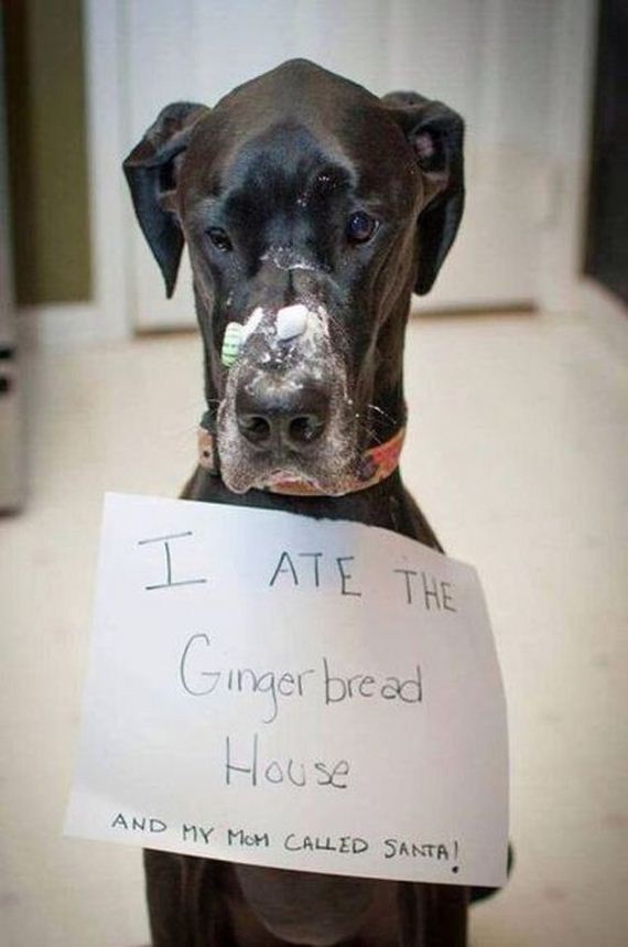 funny-pictures-628