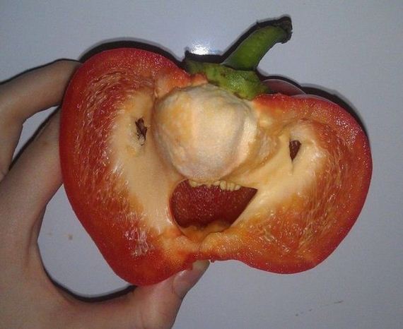 funny-pictures-630