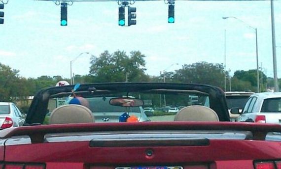 funny-pictures-630