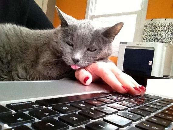 funny-pictures-630
