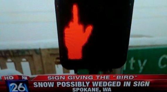 funny-pictures-630