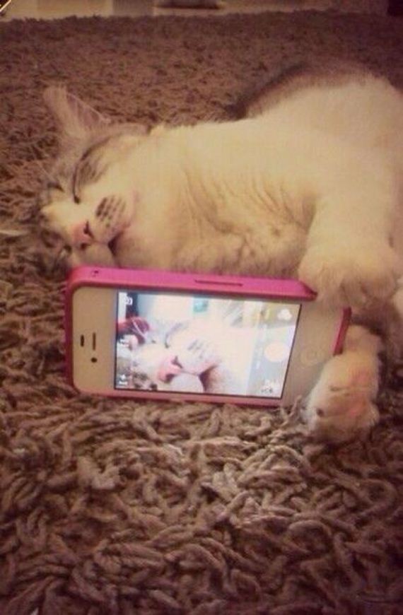 funny-pictures-630