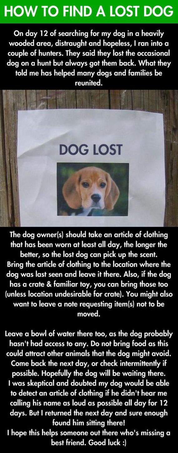 funny-pictures-631