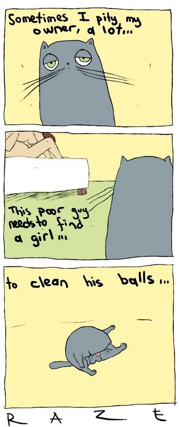 funny-pictures-631
