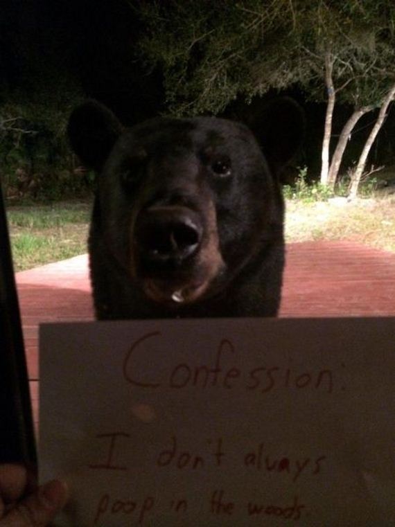 funny-pictures-631