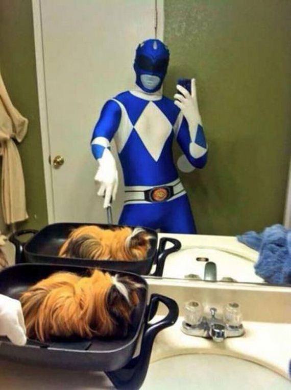 funny-pictures-631